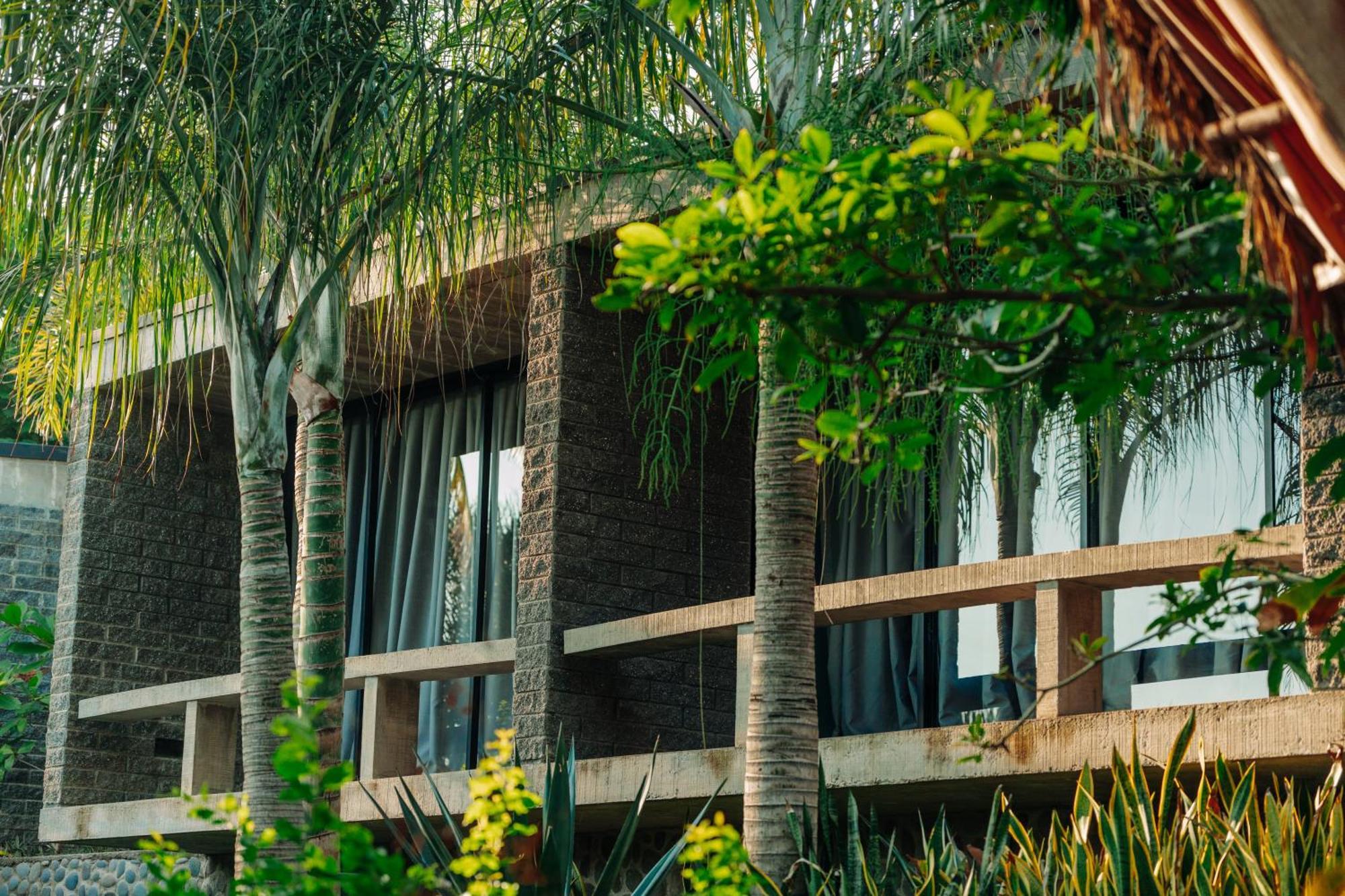 Puro Surf Hotel エル・ゾンテ エクステリア 写真